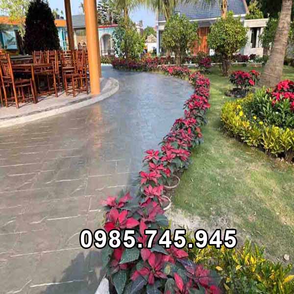 thi-cong-be-tong-ap-khuon-004