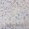gach-terrazzo-9 - ảnh nhỏ  1
