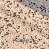 terrazzo-da-rua-16 - ảnh nhỏ  1