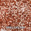 gach-terrazzo-22 - ảnh nhỏ  1