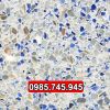 san-terrazzo-da-thach-anh-28 - ảnh nhỏ  1